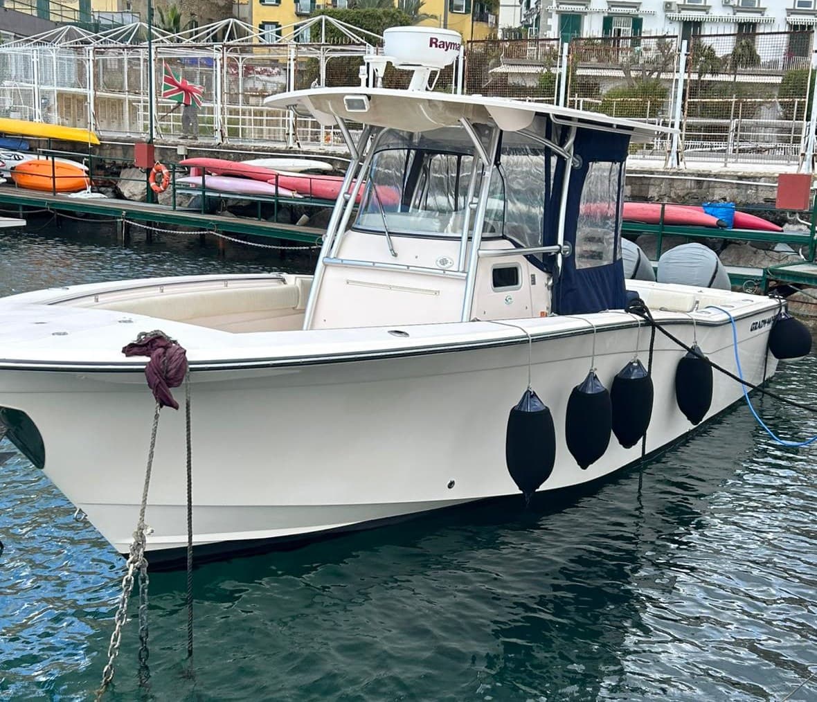 Grady White Boats 306 Bimini CC usato - vista principale