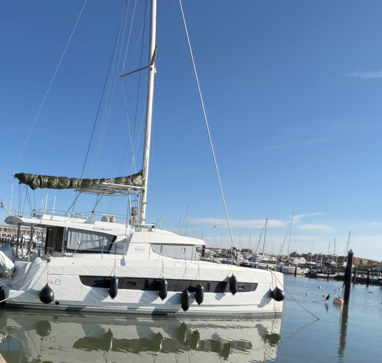 Catana Bali 4.6 usato - dettaglio 1