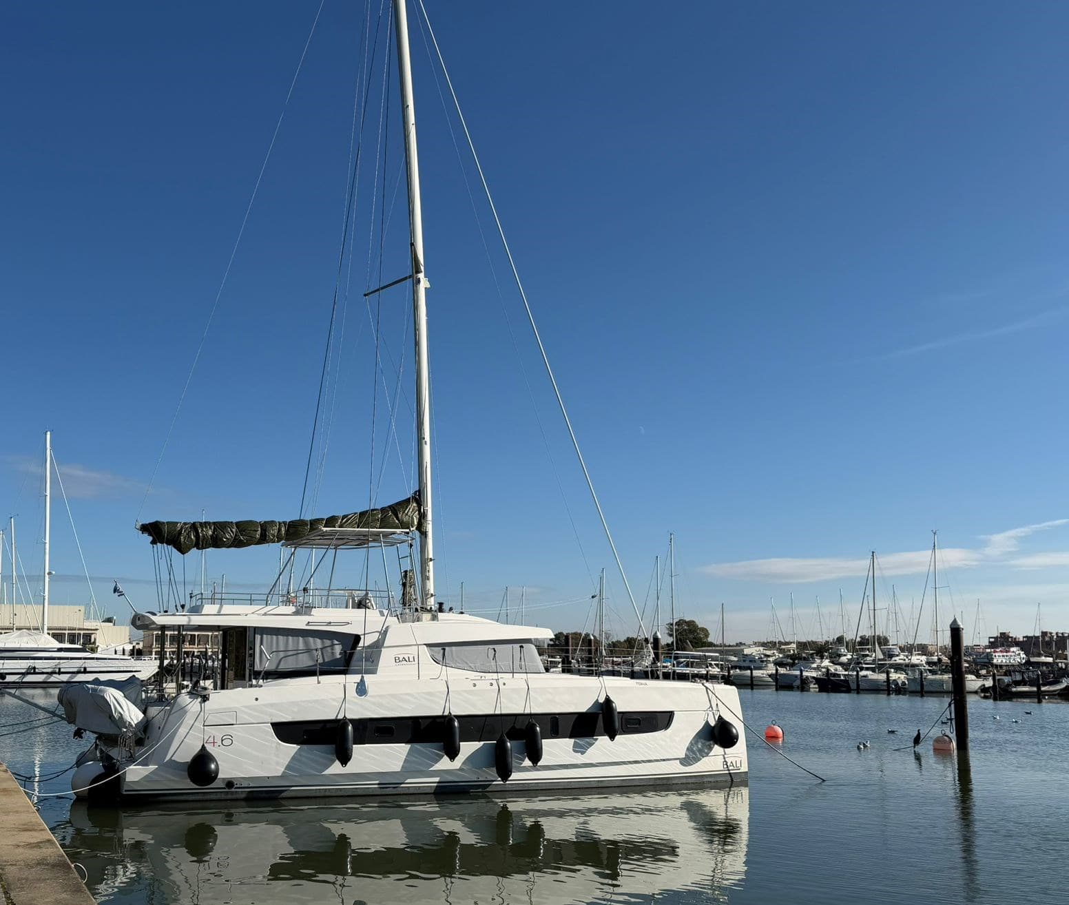 Catana Bali 4.6 d'occasion - détail 2