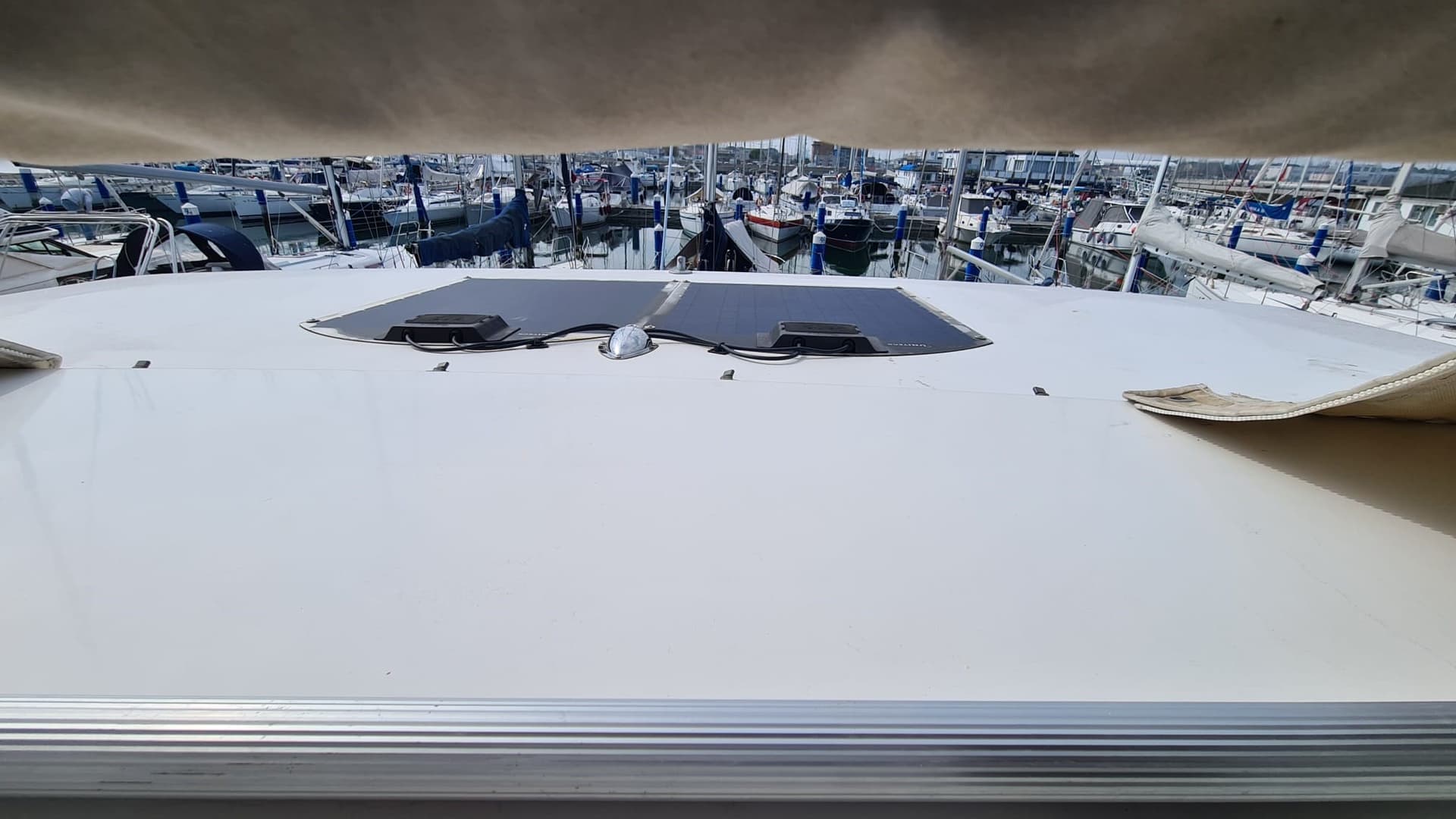Carver Boat 356 Aft Cabin M/Y usato - foto hero 24