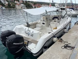 Boston Whaler Boston 305 Conquest usato - dettaglio 1