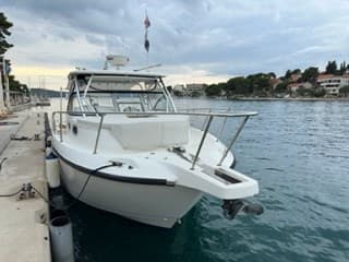 Boston Whaler Boston 305 Conquest - Detail View 1 Boston Whaler Boston 305 Conquest - Detail View 1