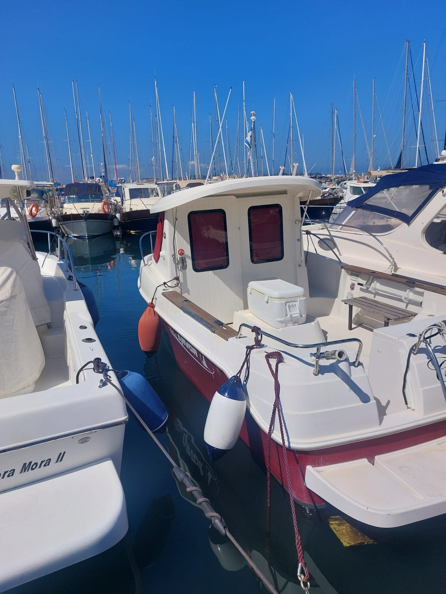 Arvor 230 As used - detail 1