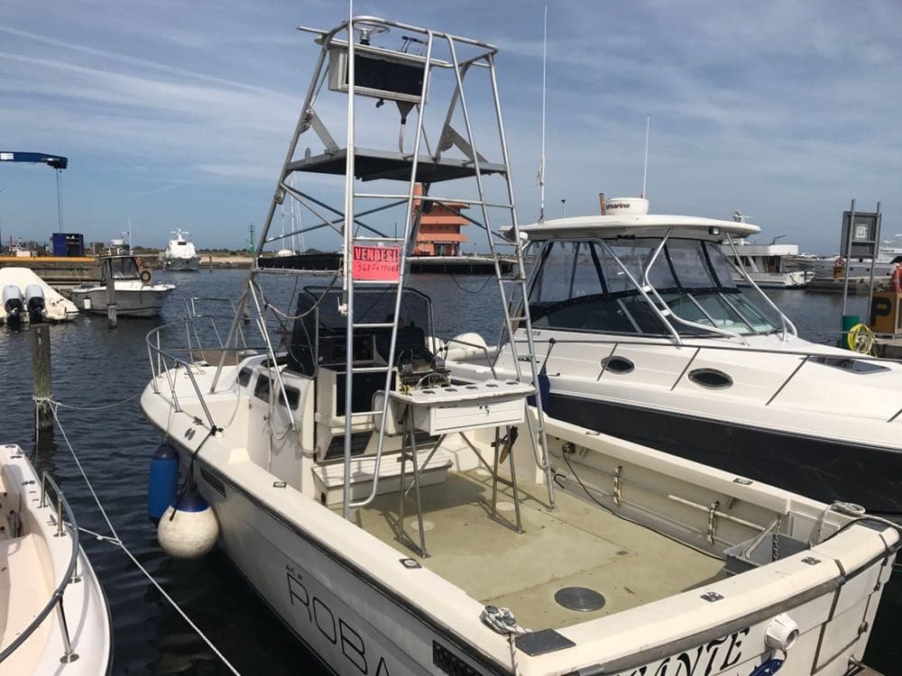 Robalo 26 Cavin Walkaround - Main View Robalo 26 Cavin Walkaround - Main View
