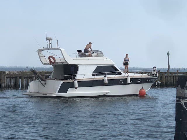 Mochi Craft Mochi 42 - Main View Mochi Craft Mochi 42 - Main View