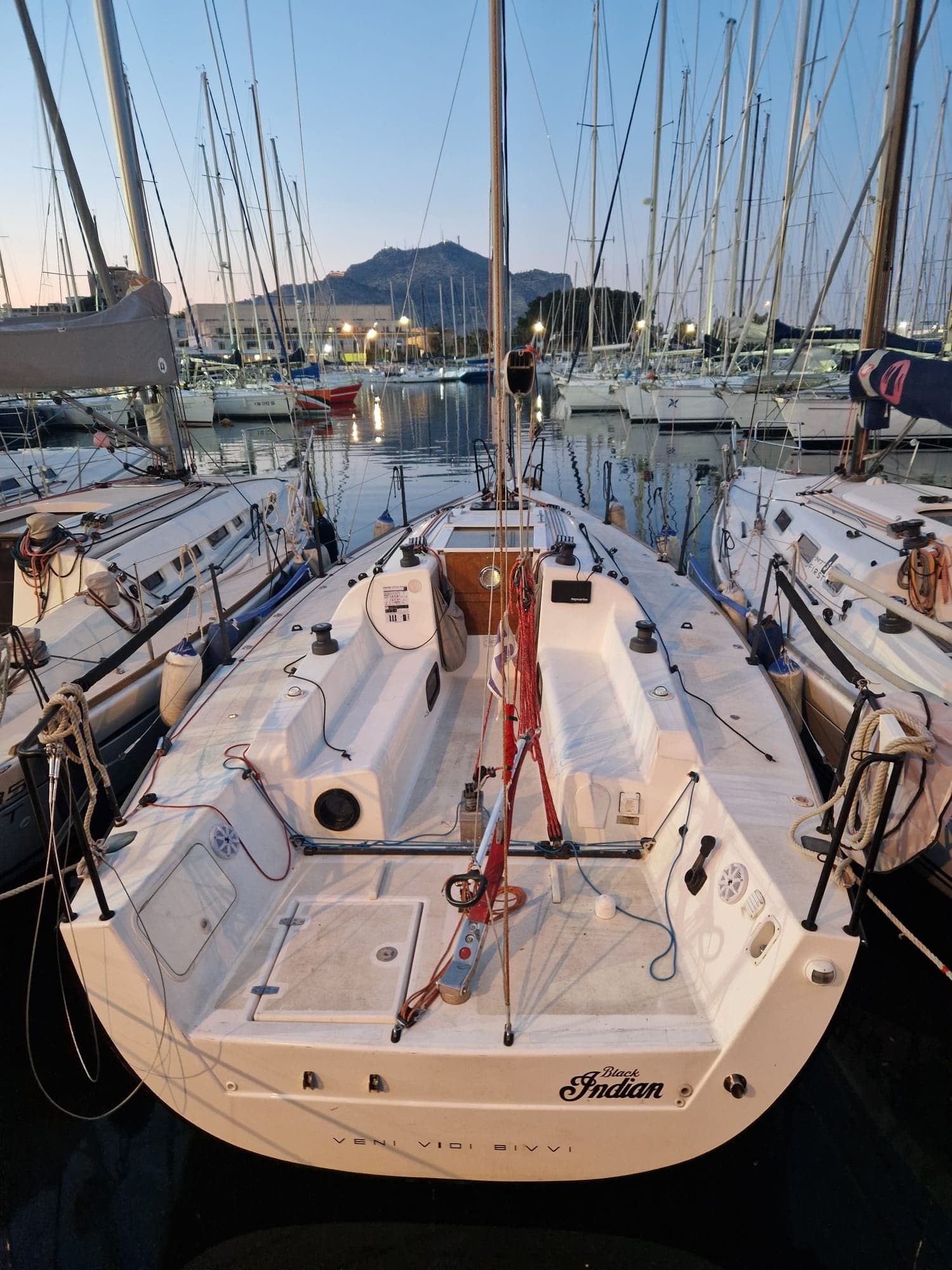 Bonin BONIN 31 usato - foto hero 7