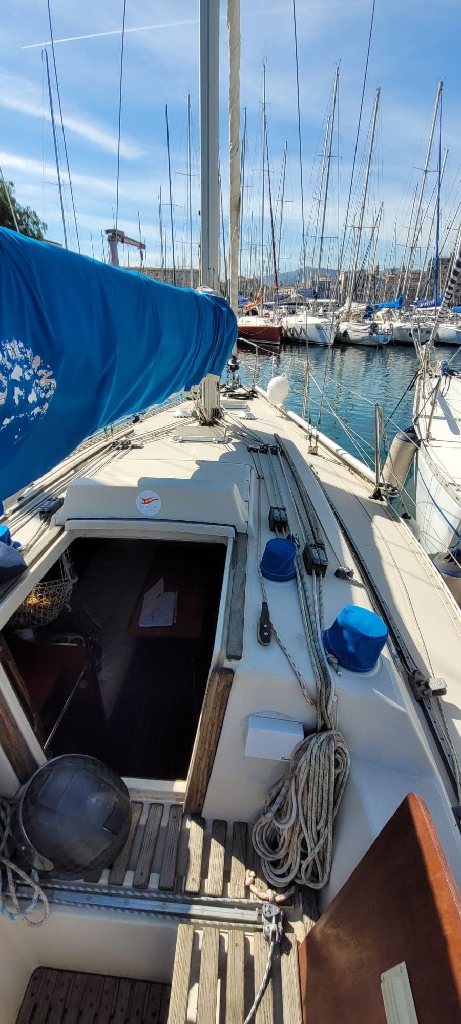 Beneteau First 30 Seaspape usato - dettaglio 3