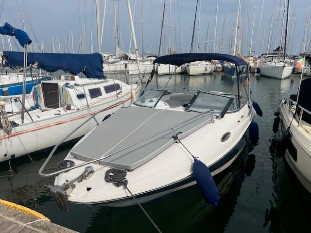 Regal Marine 2450 Lsc usato - dettaglio 2