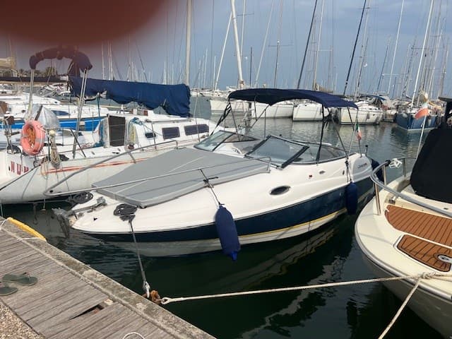Regal Marine 2450 Lsc usato - dettaglio 1