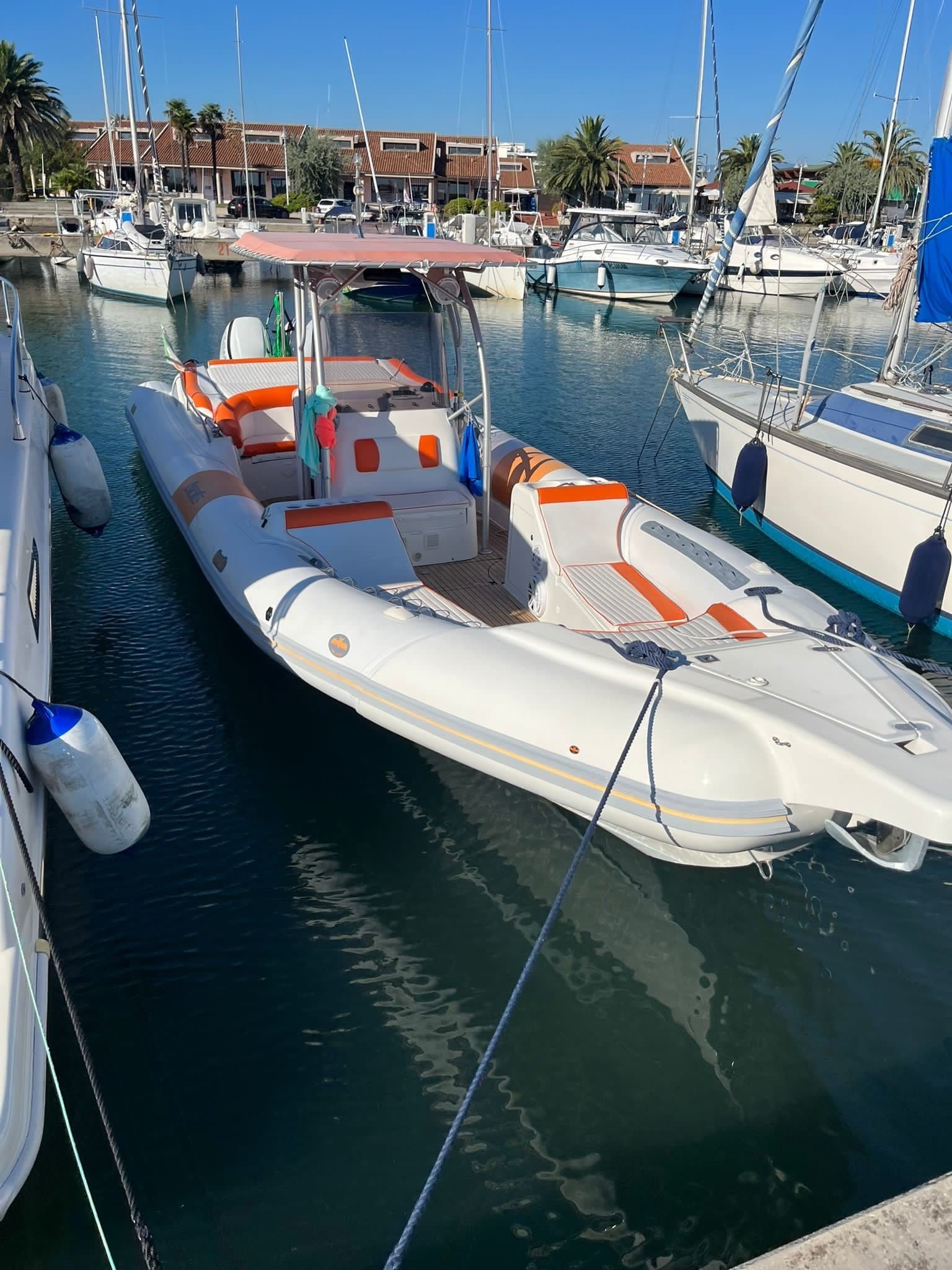 Bat International 996 Open Fb usato - dettaglio 2