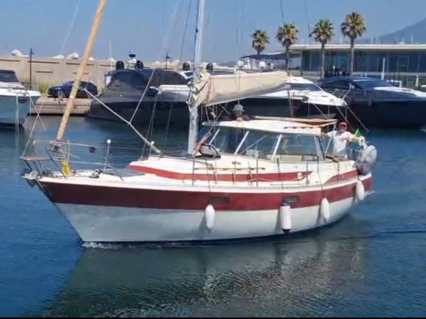 Winga 87 - Main View Winga 87 - Main View