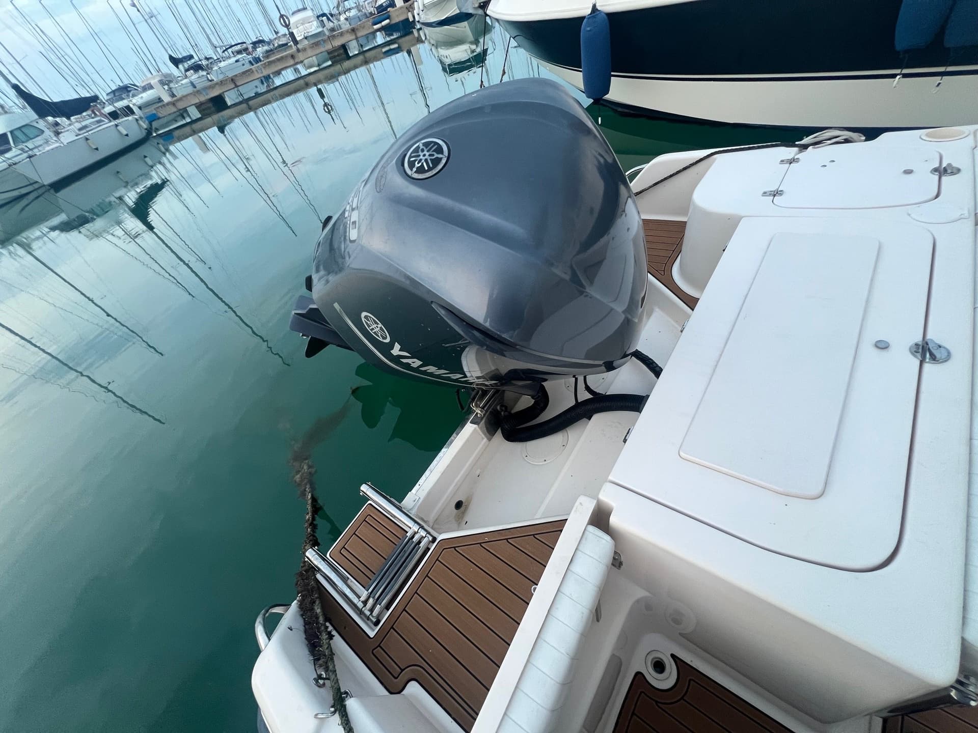 Grady White Boats 257 ADVANCE usato - foto hero 19