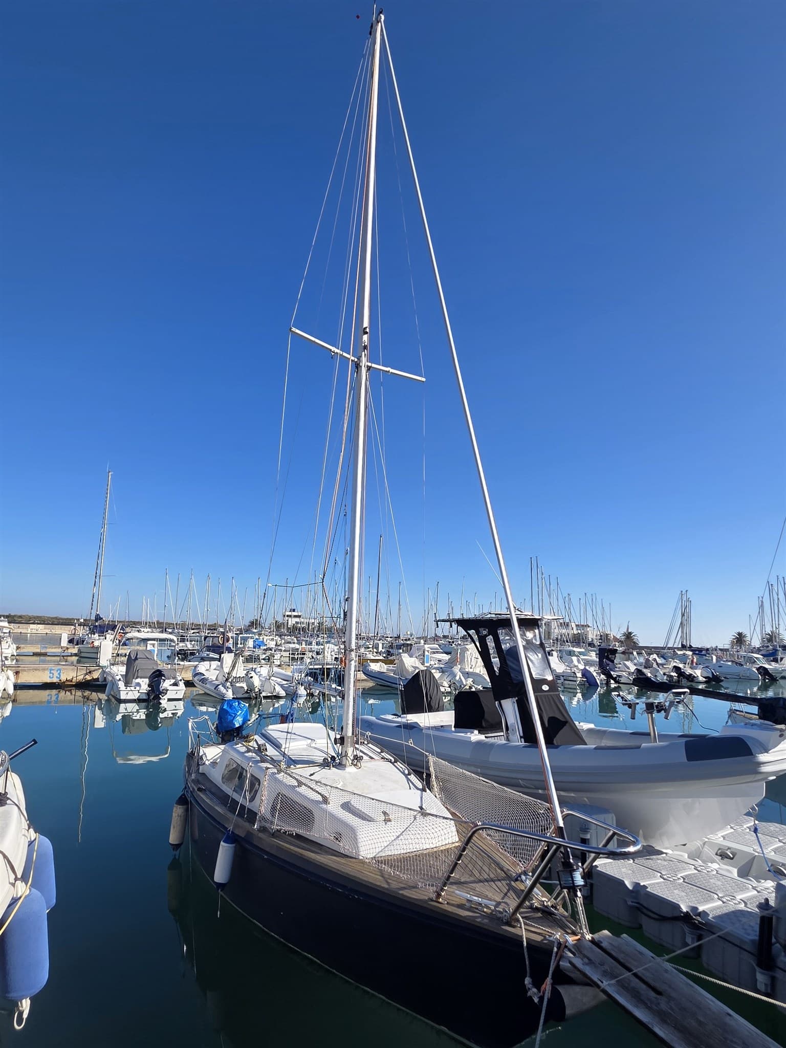 Alpa Dodi 6,70 - Detail View 1 Alpa Dodi 6,70 - Detail View 1