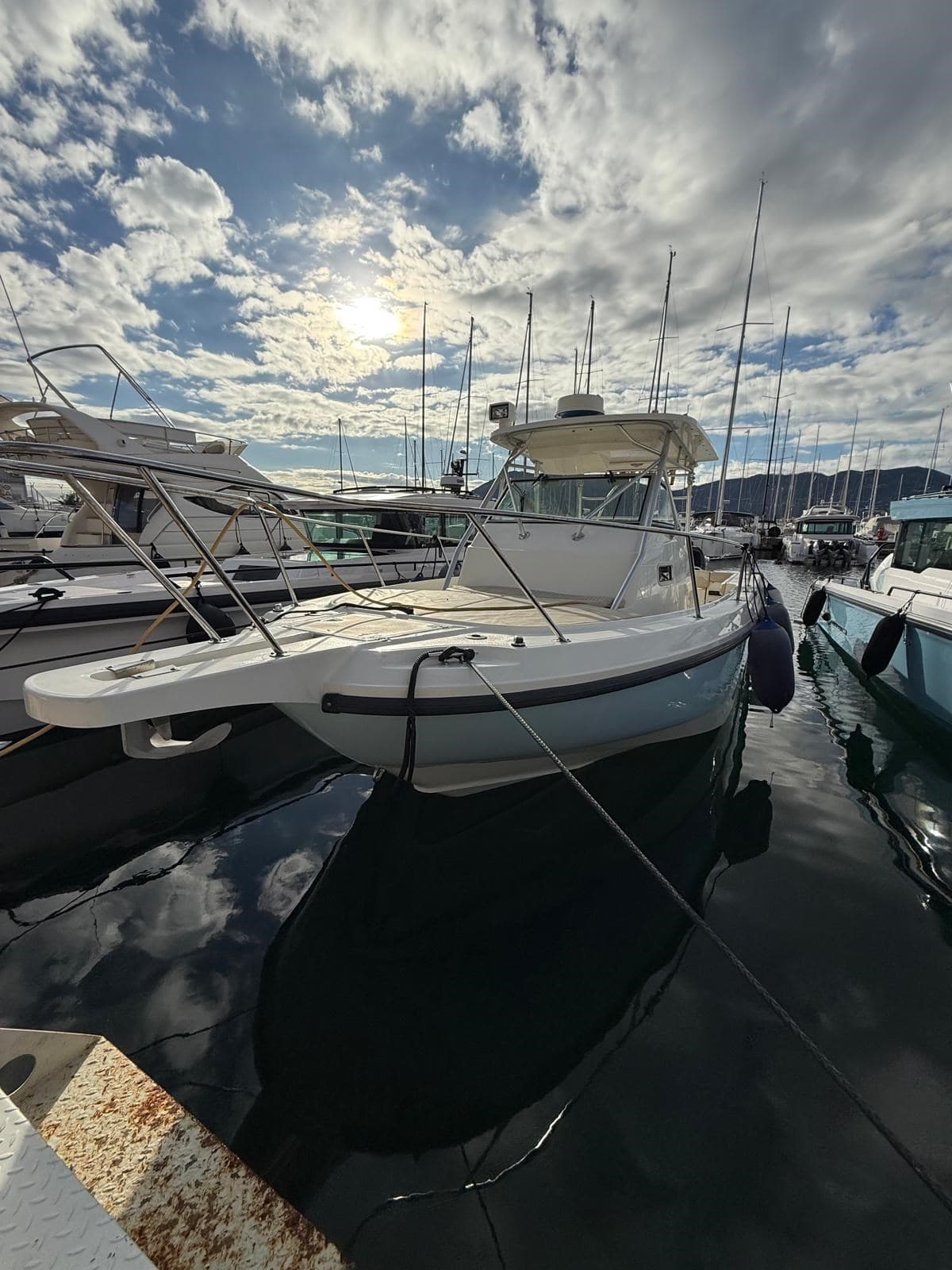 Boston Whaler 290 Outrage gebraucht - Detail 1