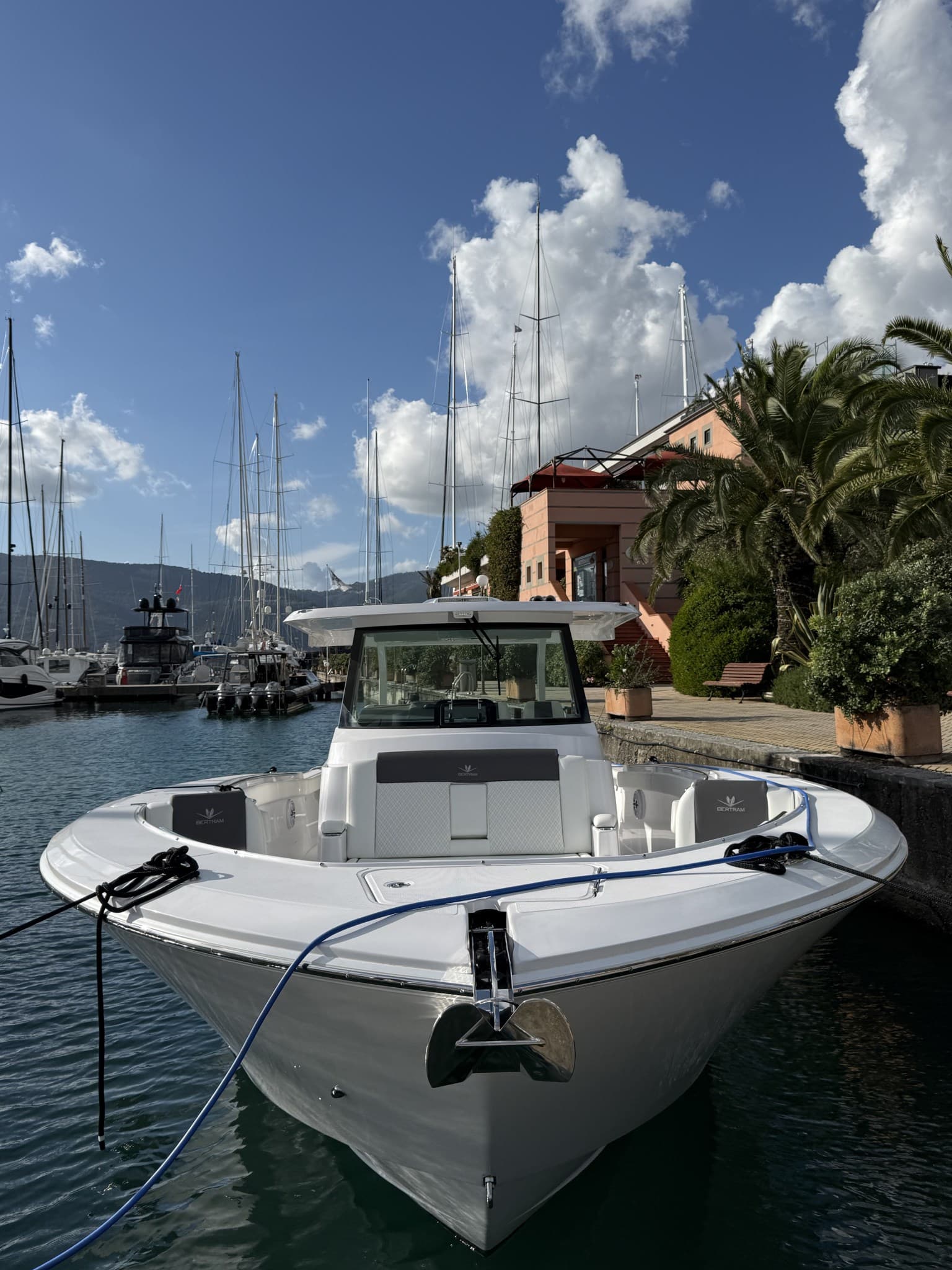 Bertram Yacht 39 Cc gebraucht - Detail 2