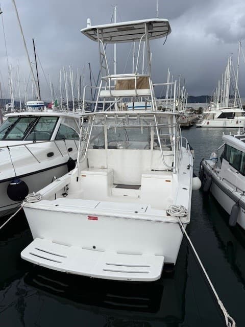 Luhrs Luhrs 28 Open usato - dettaglio 2