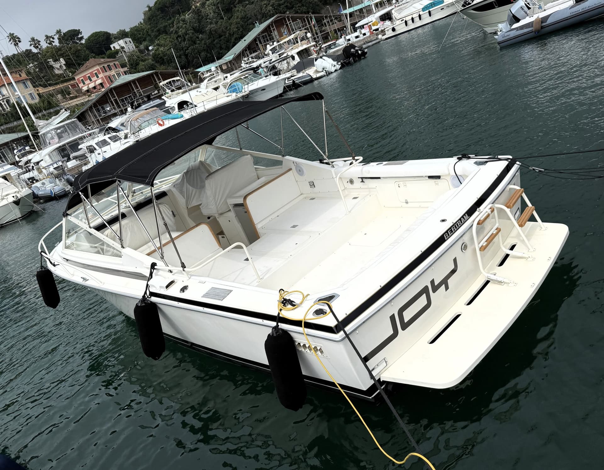 Bertram Yacht 28' Moppie - Detail View 1 Bertram Yacht 28' Moppie - Detail View 1