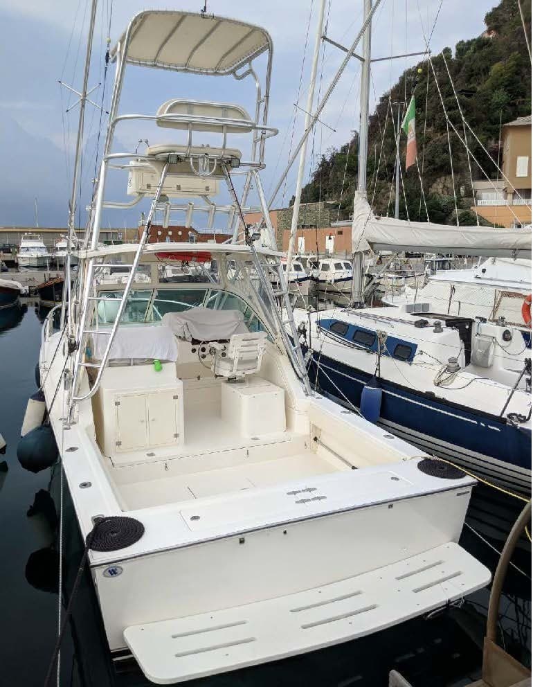 Albemarle 28' Express gebraucht - Detail 1