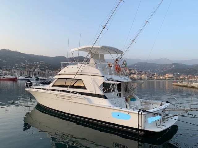 Bertram Yacht 50' Convertible usato - dettaglio 1