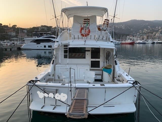 Bertram Yacht 50' Convertible usato - dettaglio 2