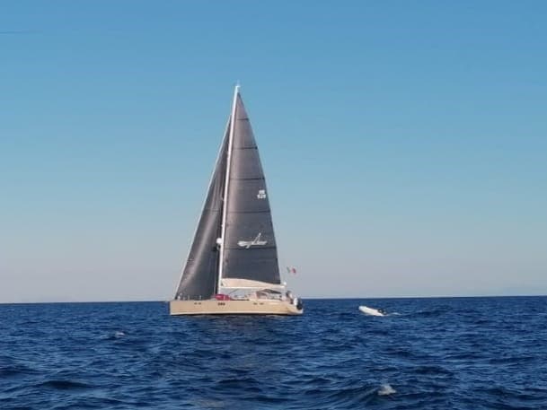 Hanse Hanse 630 E gebraucht - Detail 3