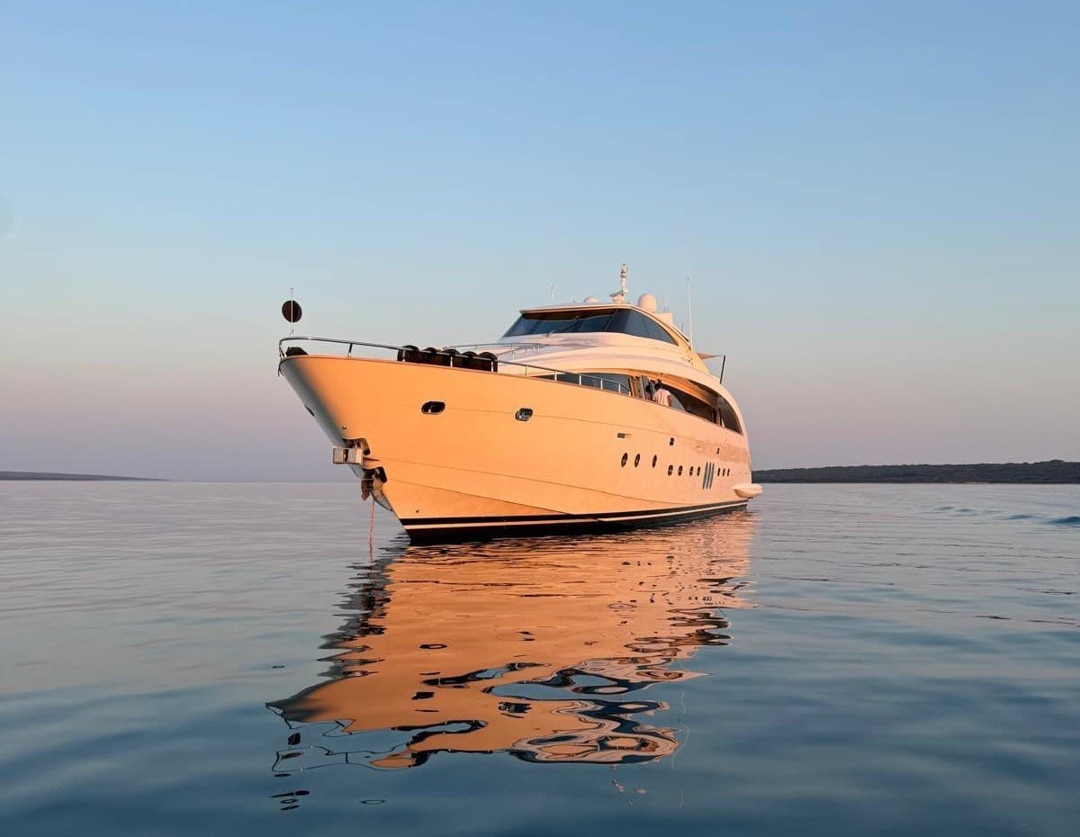 Permare Amer 116 - Detail View 1 Permare Amer 116 - Detail View 1