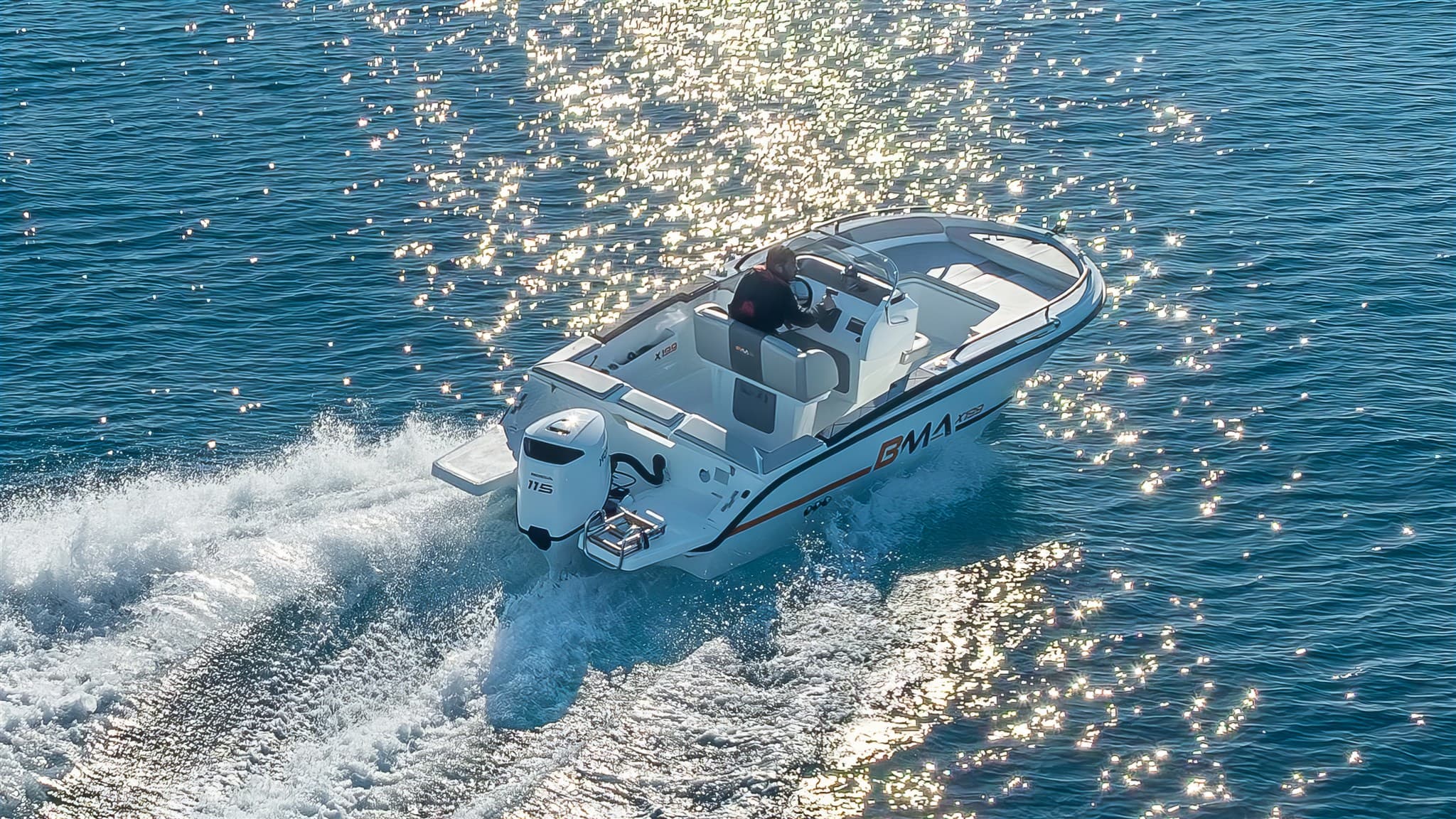 BMA X 199 - Detail View 1 BMA X 199 - Detail View 1