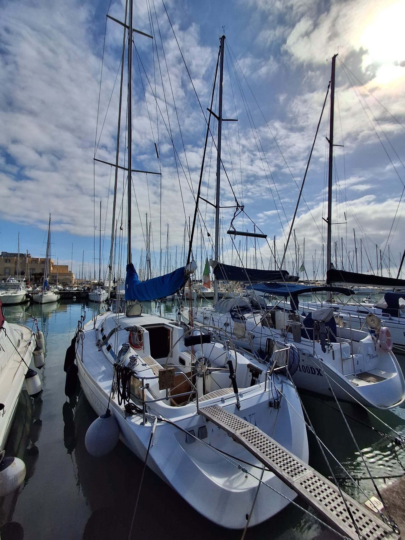 Argo Mare Duck 41 - Main View Argo Mare Duck 41 - Main View