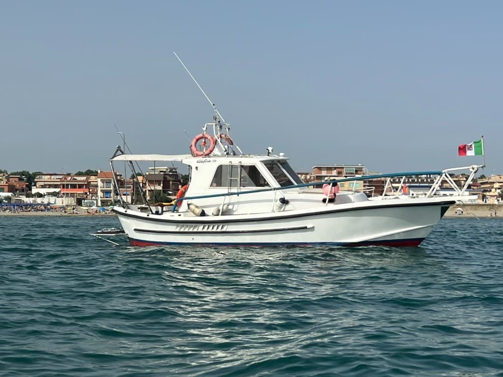 Catarsi Calafuria 98 - Main View Catarsi Calafuria 98 - Main View