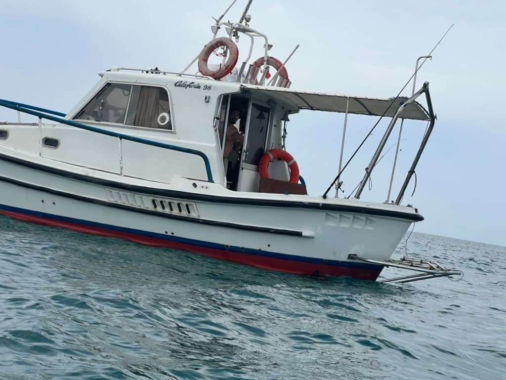 Catarsi Calafuria 98 - Interior View Catarsi Calafuria 98 - Interior View