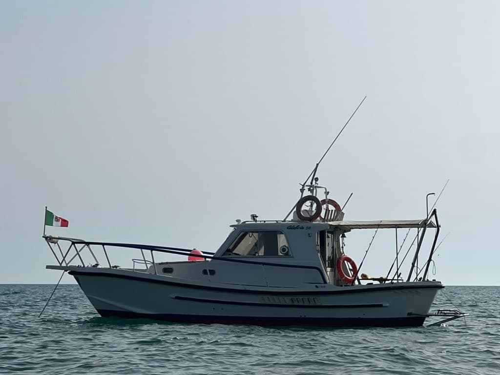 Catarsi Calafuria 98 - Detail View 1 Catarsi Calafuria 98 - Detail View 1