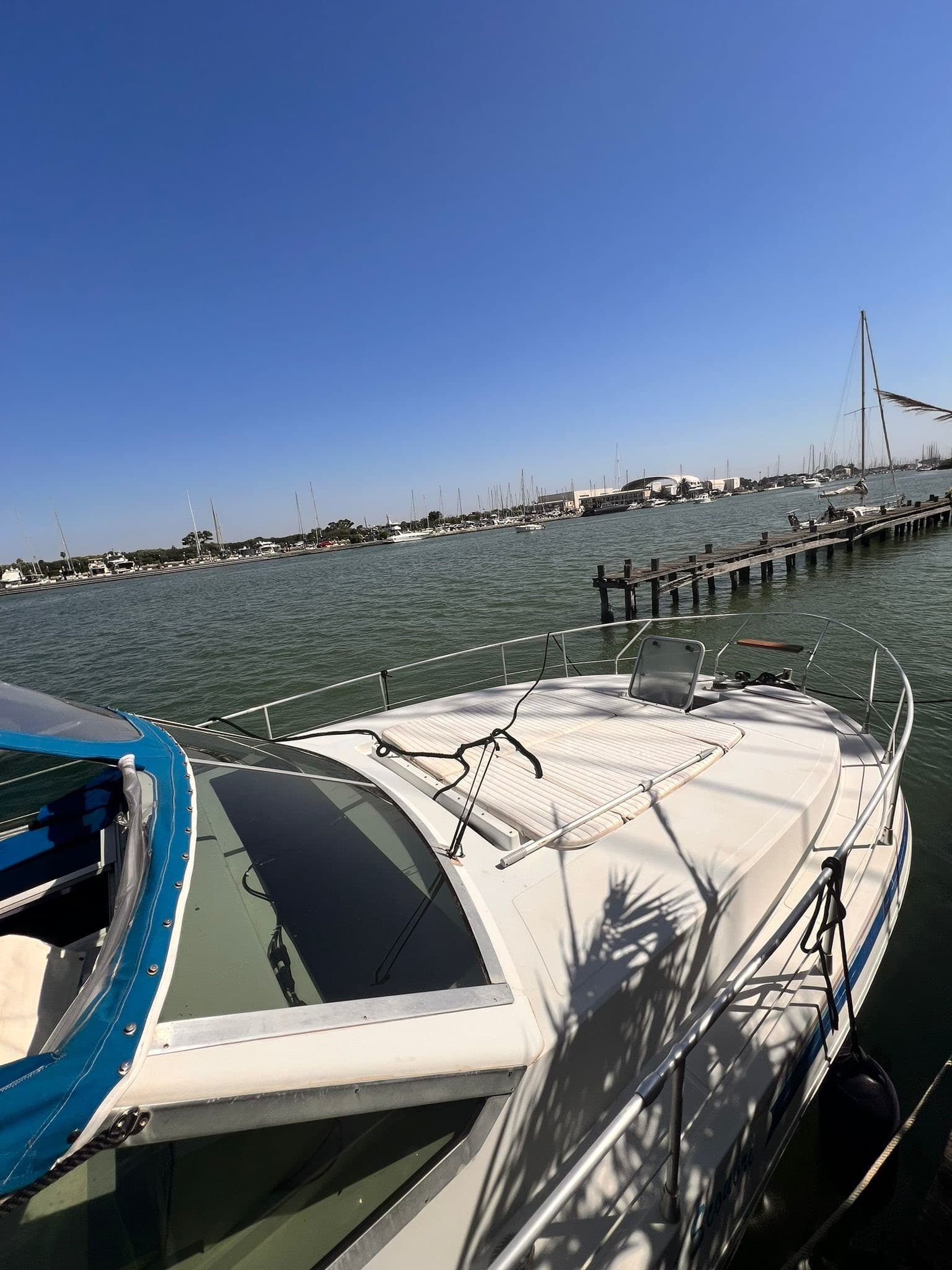 Raffaelli Typhoon - Deck View Raffaelli Typhoon - Deck View