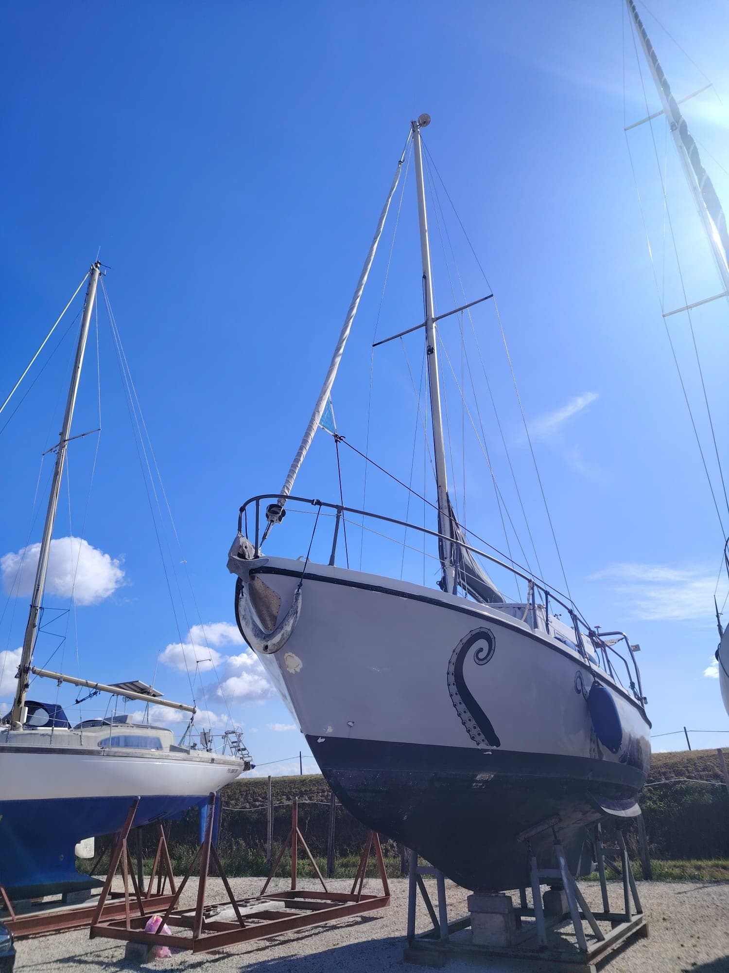 VelMare MULTI 98 d'occasion - vue principale
