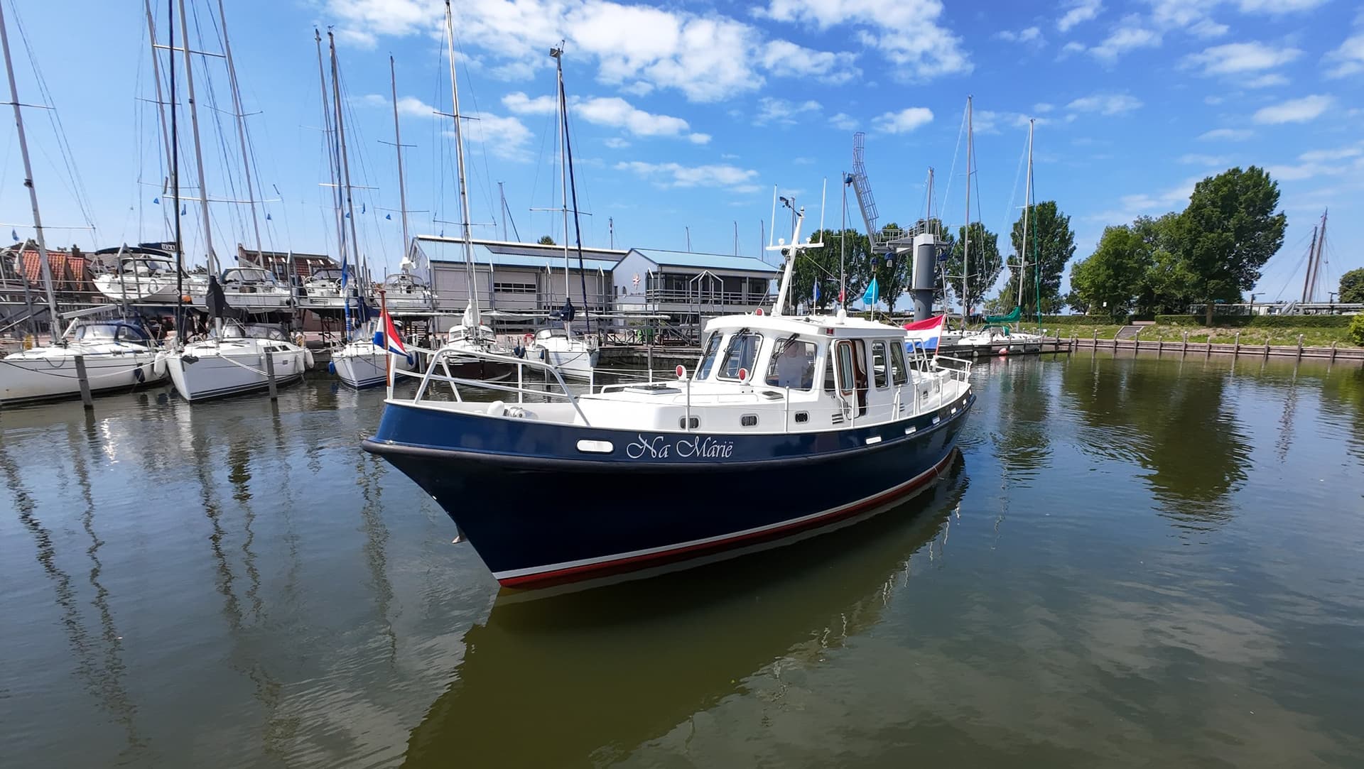 Koopmans Bylgia usato - foto hero 11