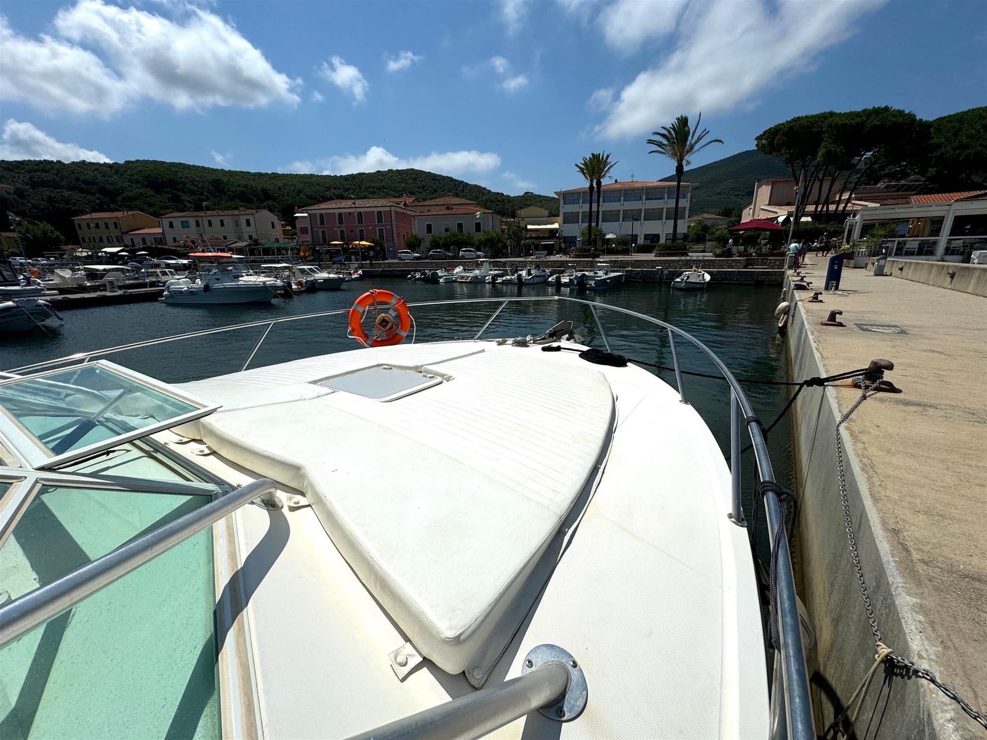 Carolina Classic 32 usato - foto hero 7