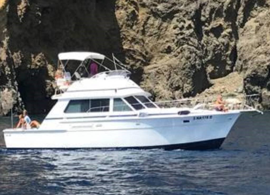 Bertram Yacht 42 gebraucht - Detail 1