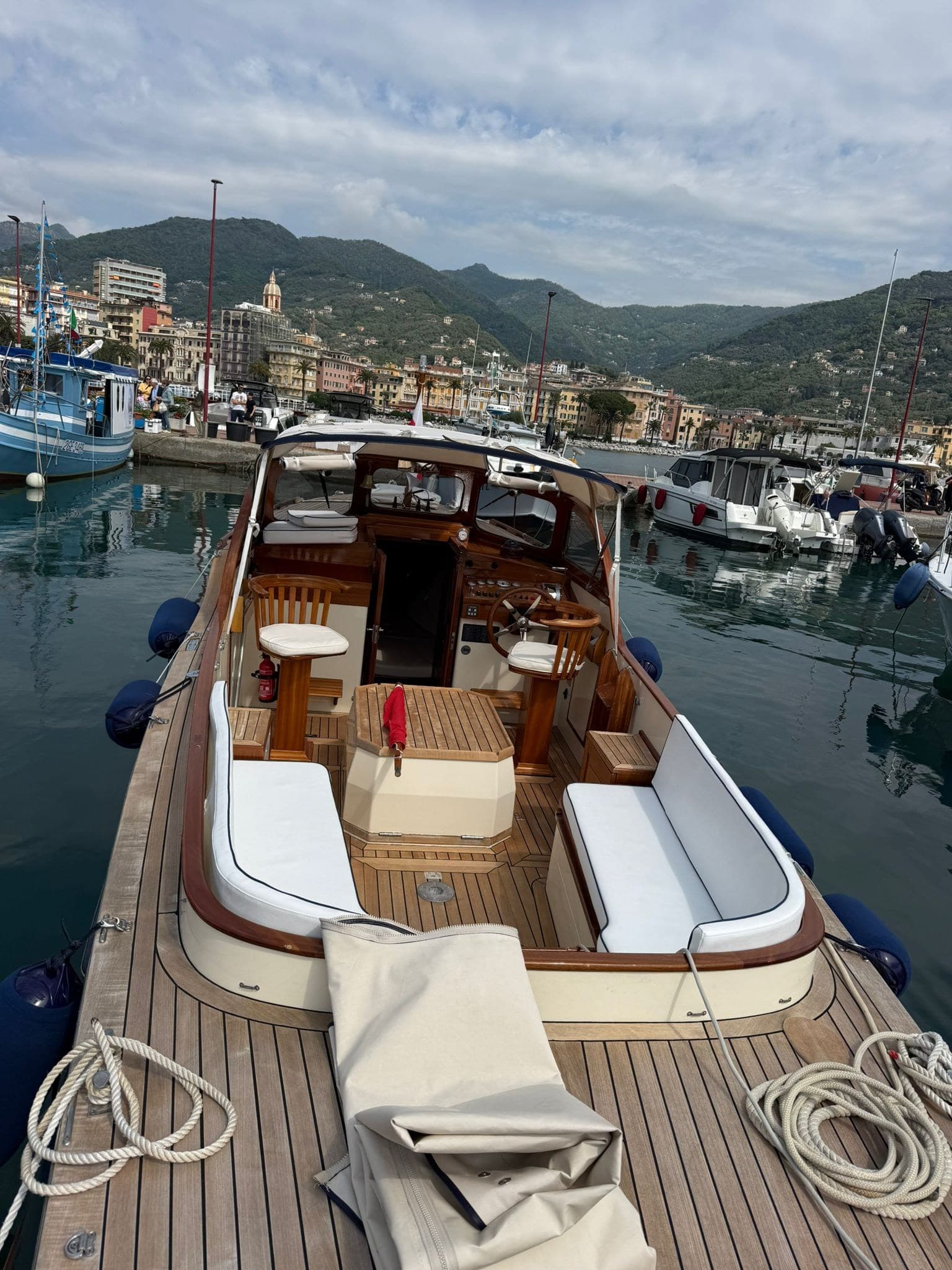 Rapsody 29 OC FF usato - foto hero 4