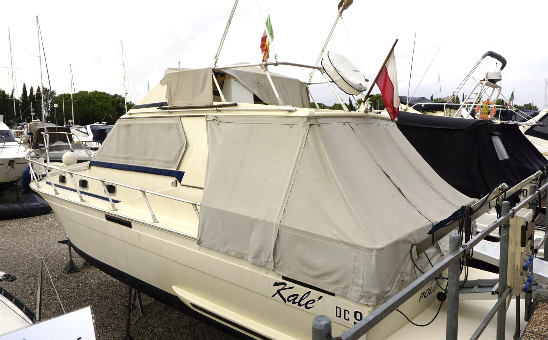 Della P. & C. Dc 9 - Main View Della P. & C. Dc 9 - Main View