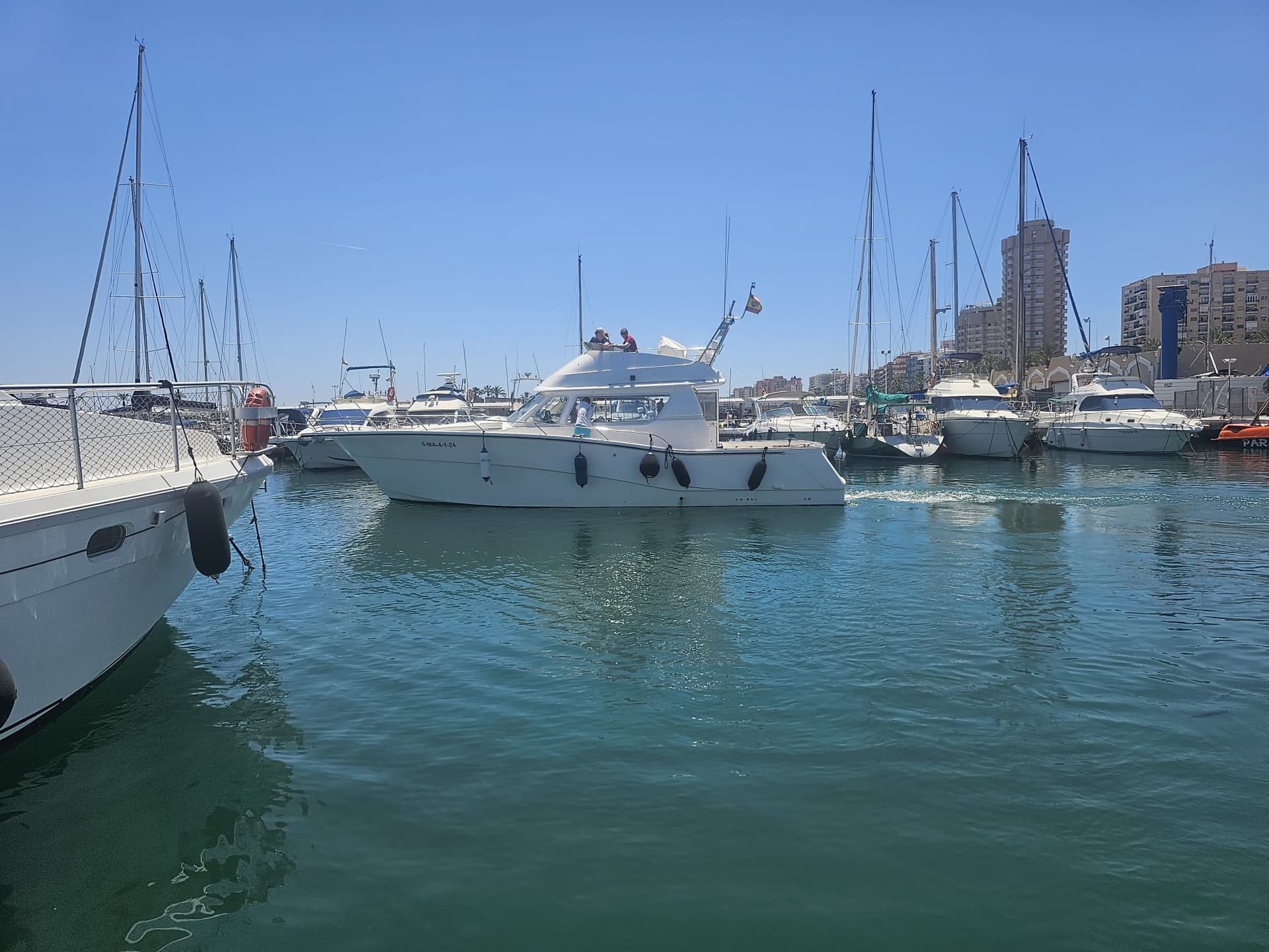 Rodman Rodman 1250 used - detail 2