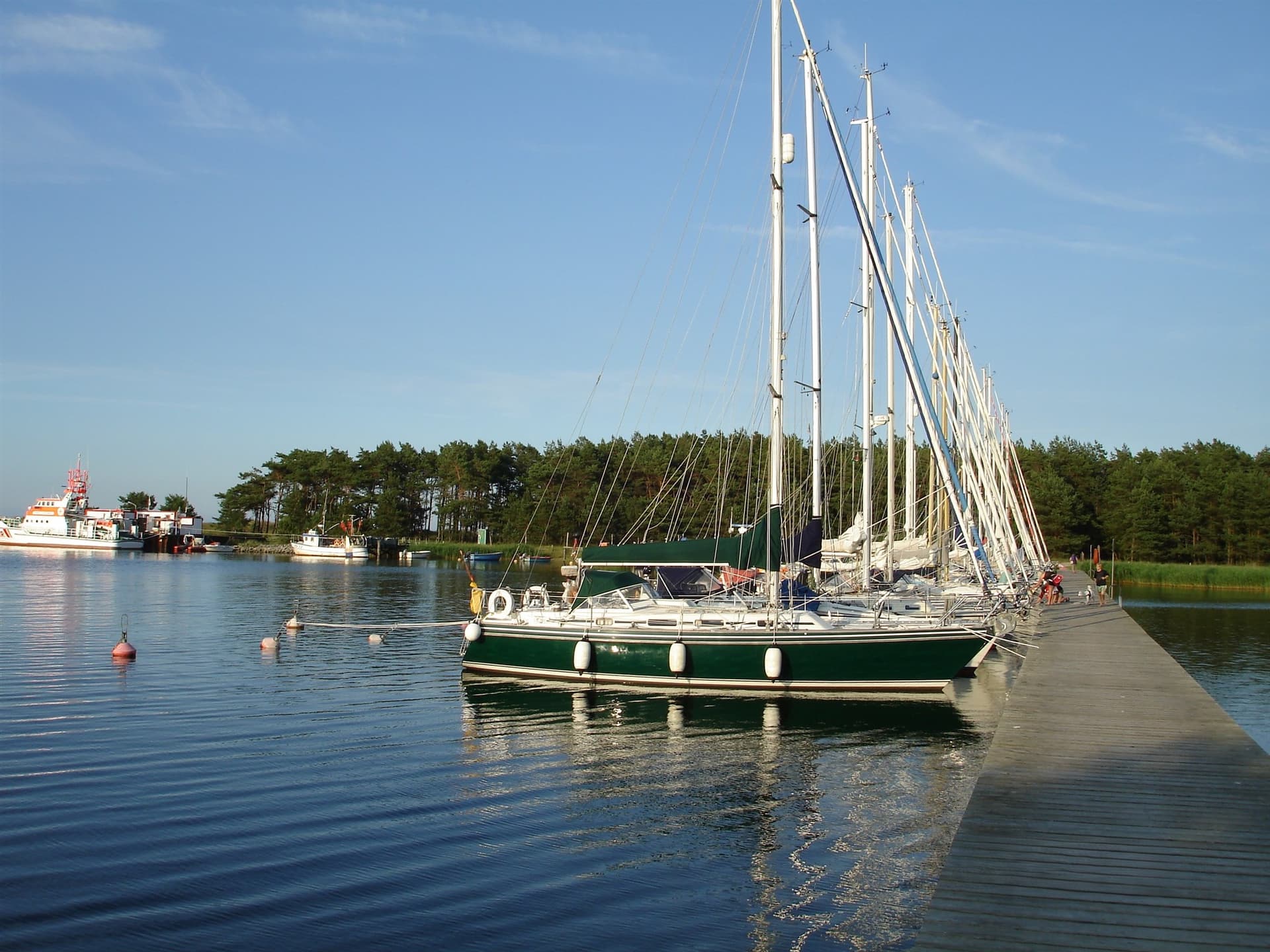 Conyplex Contest 35s - Main View Conyplex Contest 35s - Main View