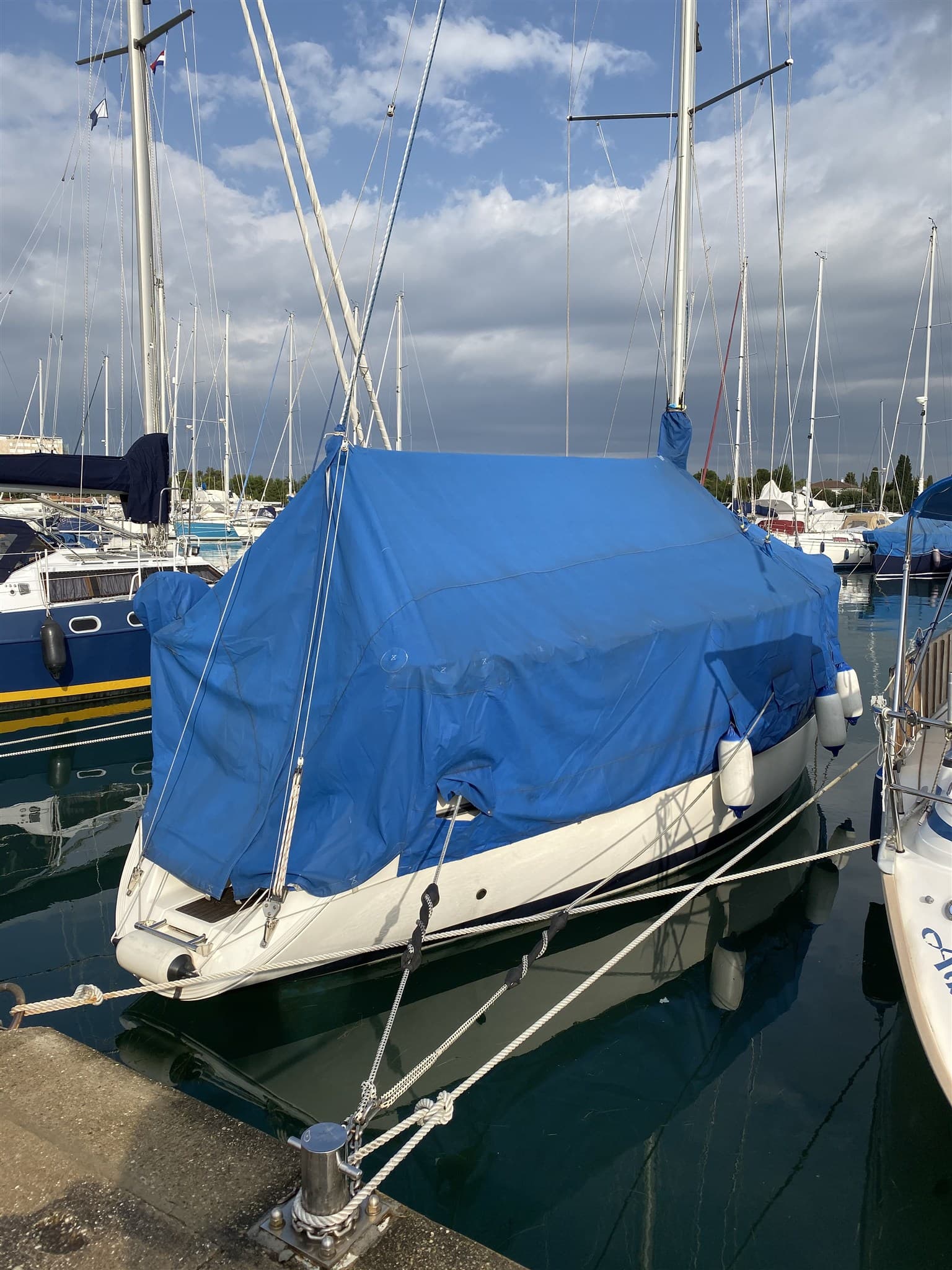 Sunbeam 33 gebraucht - Hauptbild 20