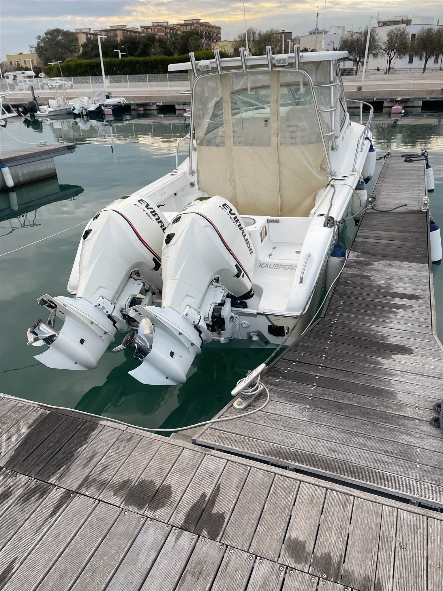 Sea Pro 270 Express Wolkraund usato - dettaglio 3