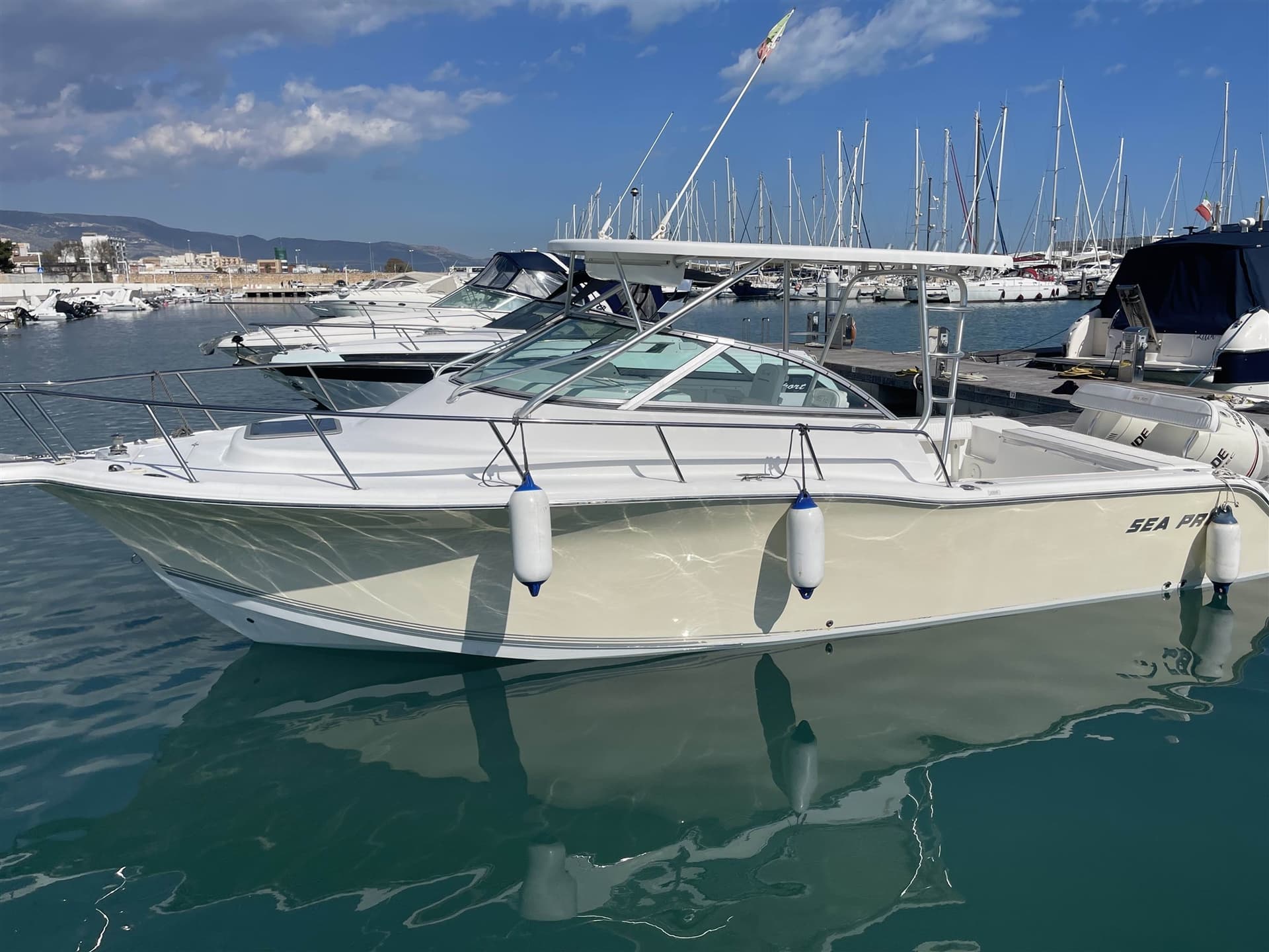 Sea Pro 270 Express Wolkraund usato - dettaglio 1