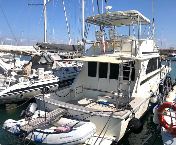 Bertram Yacht 46' Convertible - Main View Bertram Yacht 46' Convertible - Main View