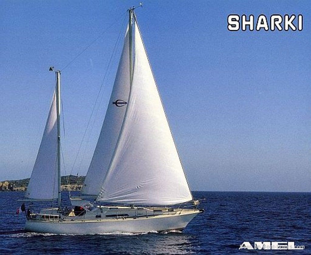 Amel Sharki - Main View Amel Sharki - Main View