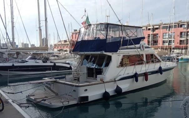 Angel Angel 52 - Main View Angel Angel 52 - Main View