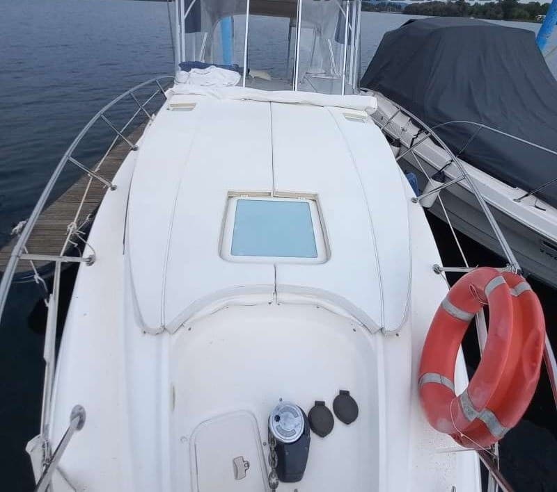 Bayliner BAYLINER 305 usato - foto hero 6