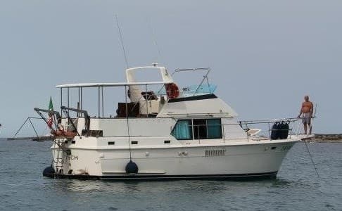Hatteras HATTERAS 39 Motor Yacht usato - foto hero 3