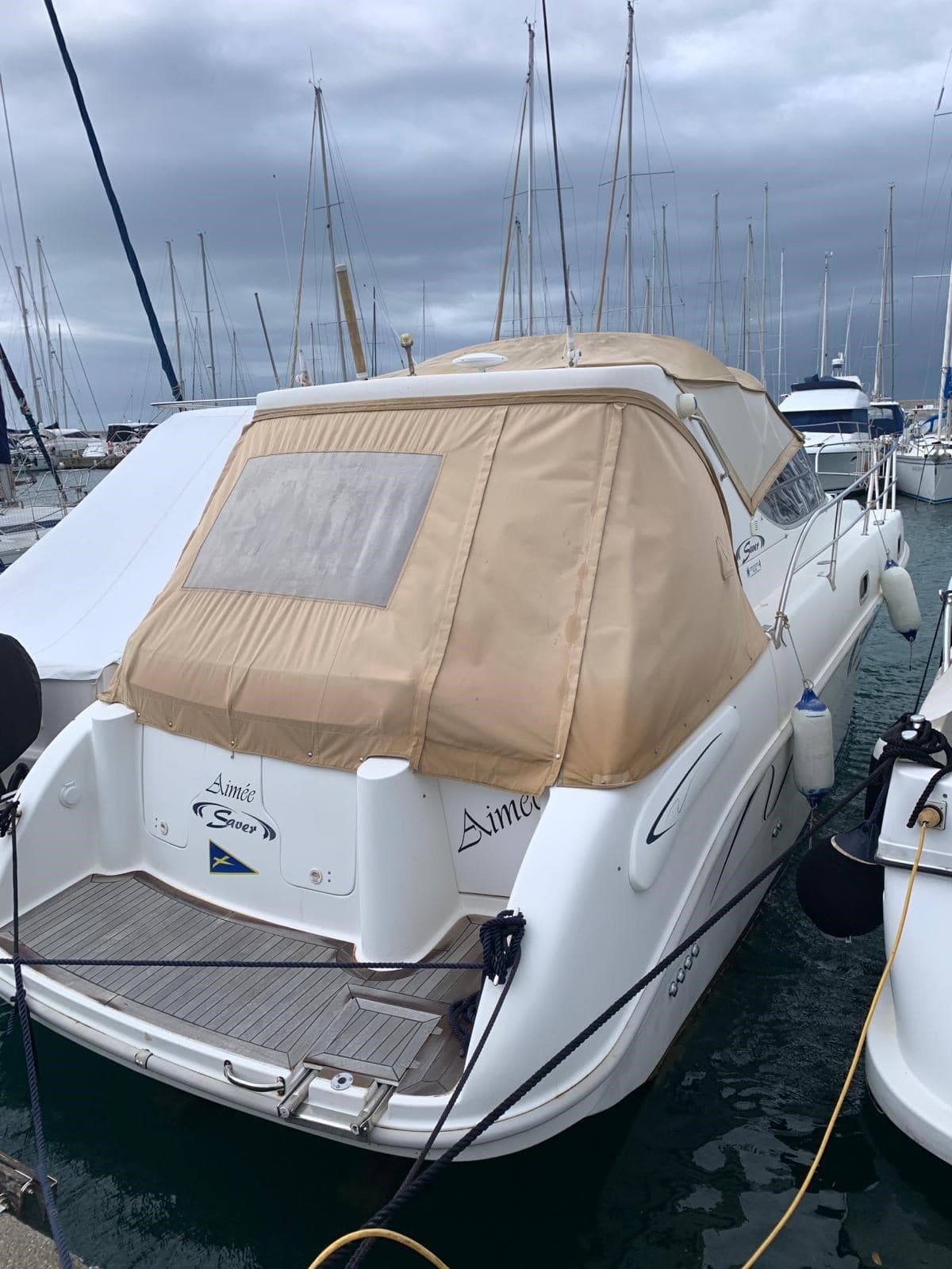 Saver Saver 300 - Interior View Saver Saver 300 - Interior View