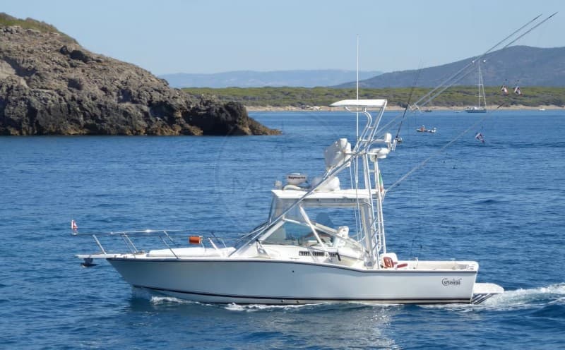 Carolina Usa Carolina 28 Classic usato - dettaglio 1